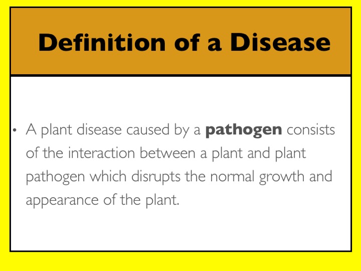 Turfgrass Disease Management