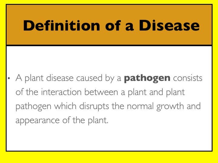 Turfgrass Disease Management